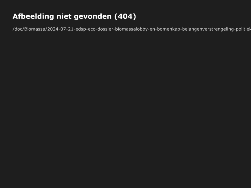 Dossier van de Klimaatcoalitie over Staatsbosbeheer en biomassa: wat de bronnen bevestigen